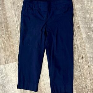 Zac & Rachel Women's Navy Cropped Pants Size 12